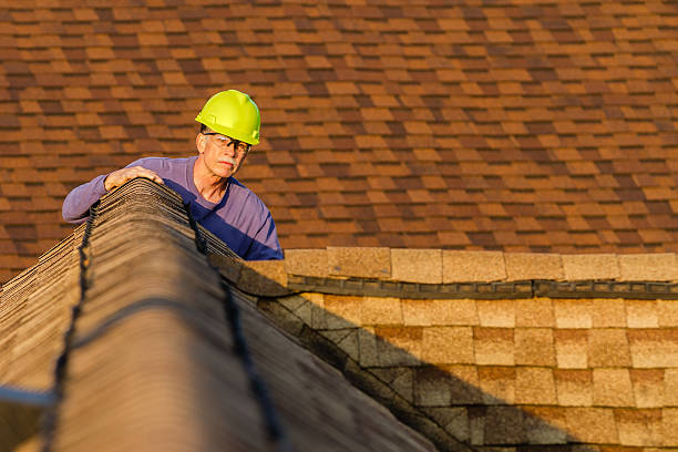 Best Roof Gutter Cleaning  in Walker Mill, MD